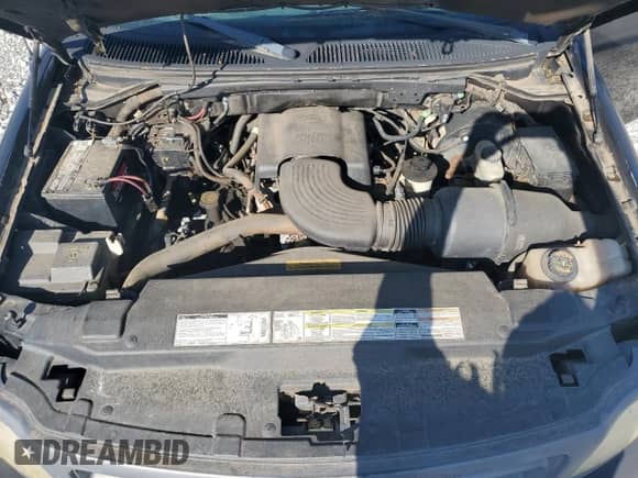 2000 Ford F-150 XL z VIN 1FTRF18W9YNB95521, wystawiony jako Copart lot #57720434 z przebiegiem 203 143 mil mil oraz Czysty tytuł • Clean title. Historia ofert i sprzedaży dostępna na DreamBid. Obrazek 11.