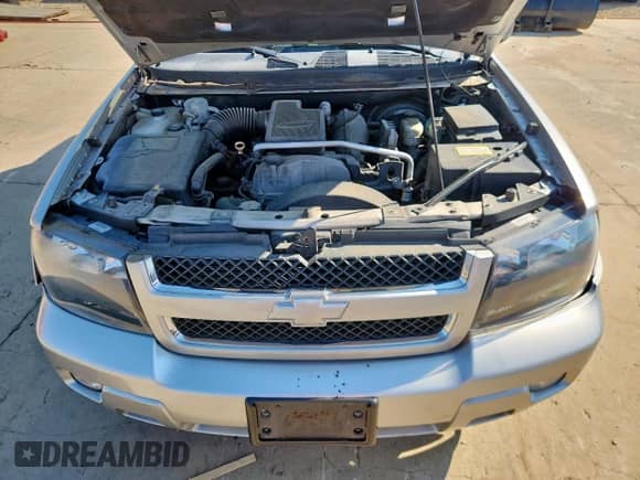 2008 Chevrolet TrailBlazer 2LT z VIN 1GNDS13S082103585, wystawiony jako Copart lot #72032455 z przebiegiem 92 735 mil mil oraz Szkoda całkowita • Salvage title. Historia ofert i sprzedaży dostępna na DreamBid. Obrazek 12.