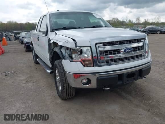 2013 Ford F-150 XL z VIN 1FTEX1EM0DFE01022, wystawiony jako IAAI lot #42101860 z przebiegiem 153 993 mil mil oraz . Historia ofert i sprzedaży dostępna na DreamBid. Obrazek 1.