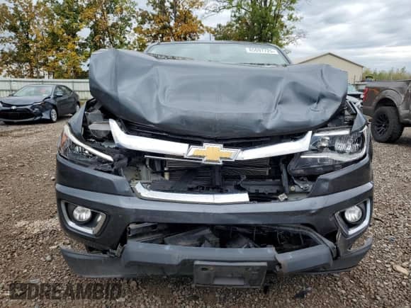 2016 Chevrolet Colorado 4WD LT with VIN 1GCHTCEA6G1344742, listed as a Copart auction lot 85697725 with 121,964 mi miles and Salvage title. Bid and sale history available at DreamBid. Image 5.