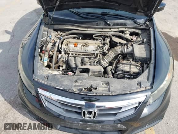 2011 Honda Accord EX with VIN 1HGCS1B71BA001003, listed as a IAAI auction lot 43202585 with 80,242 mi miles and . Bid and sale history available at DreamBid. Image 10.