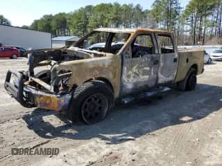 2011 Ford F-150 with VIN NOVIN48717635, listed as a Copart auction lot 48717635 with Not provided miles and Non repairable. Bid and sale history available at DreamBid. Image 1.