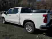 2024 Chevrolet Silverado 1500 LT with VIN 1GCUDDE83RZ159308, listed as a Copart auction lot 49765515 with Not provided miles and Salvage title. Bid and sale history available at DreamBid. Image 2.