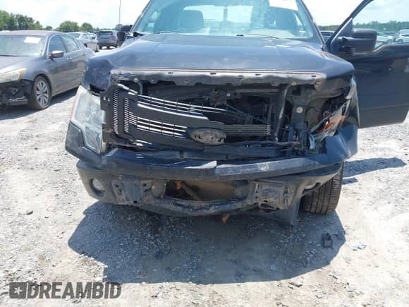 2014 Ford F-150 XL z VIN 1FTEX1CMXEFB38168, wystawiony jako IAAI lot #42660051 z przebiegiem 330 522 mil mil oraz . Historia ofert i sprzedaży dostępna na DreamBid. Obrazek 6.