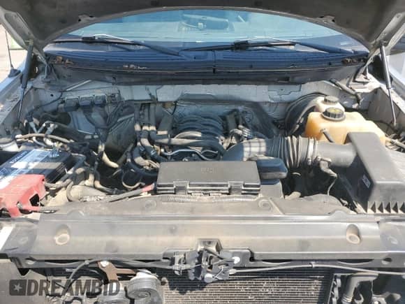 2012 Ford F-150 XL with VIN 1FTNF1CF5CKE25037, listed as a Copart auction lot 69481275 with 231,757 mi miles and Clean title. Bid and sale history available at DreamBid. Image 11.