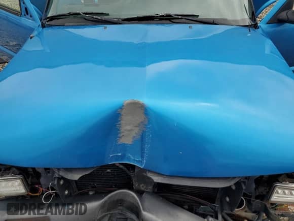 1995 Chevrolet Blazer z VIN 1GNDT13W7S2127583, wystawiony jako Copart lot #69269775 z przebiegiem 175 857 mil mil oraz Nie do naprawy • Non repairable. Historia ofert i sprzedaży dostępna na DreamBid. Obrazek 11.