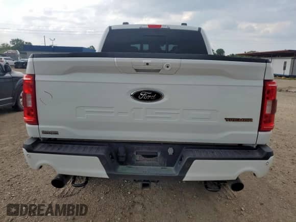 2023 Ford F-150 XL with VIN 1FTEW1E83PFB44870, listed as a Copart auction lot 67404595 with 69,006 mi miles and Salvage title. Bid and sale history available at DreamBid. Image 6.