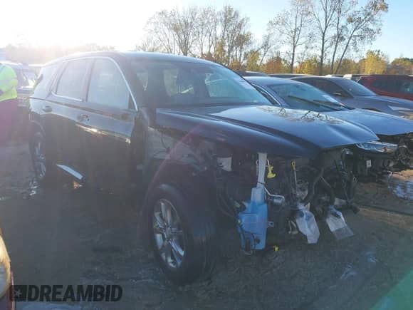 2020 Hyundai Palisade SE с VIN KM8R1DHE4LU145918, выставлен на аукционе IAAI как лот 43446096 с пробегом 131 435 миль миль и . История ставок и продаж доступна на DreamBid. Изображение 1.