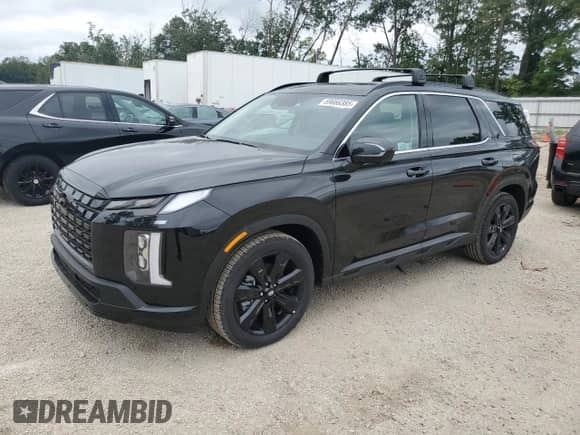 2025 Hyundai Palisade XRT with VIN KM8R3DGE0SU834851, listed as a Copart auction lot 69666385 with 132 mi miles and Salvage title. Bid and sale history available at DreamBid. Image 1.
