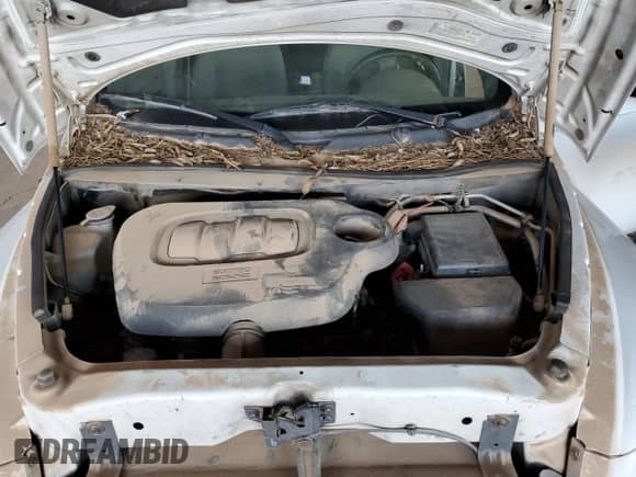 2008 Chevrolet HHR LT с VIN 3GNDA23D08S539559, выставлен на аукционе Copart как лот 84427905 с пробегом Не указан миль и Чистый • Clean title. История ставок и продаж доступна на DreamBid. Изображение 11.