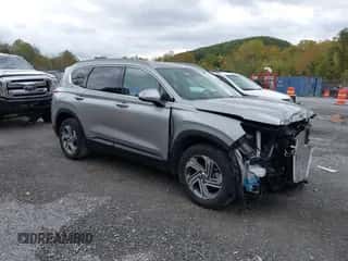 2023 Hyundai Santa Fe SEL с VIN 5NMS24AJ2PH510099, выставлен на аукционе IAAI как лот 43374398 с пробегом 30 391 миль миль и . История ставок и продаж доступна на DreamBid. Изображение 1.