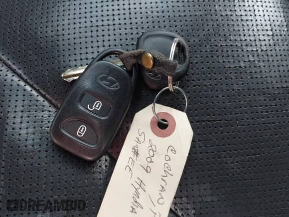 2009 Hyundai Santa Fe SE with VIN 5NMSH13E09H255761, listed as a IAAI auction lot 42419450 with 252,937 mi miles and . Bid and sale history available at DreamBid. Image 11.