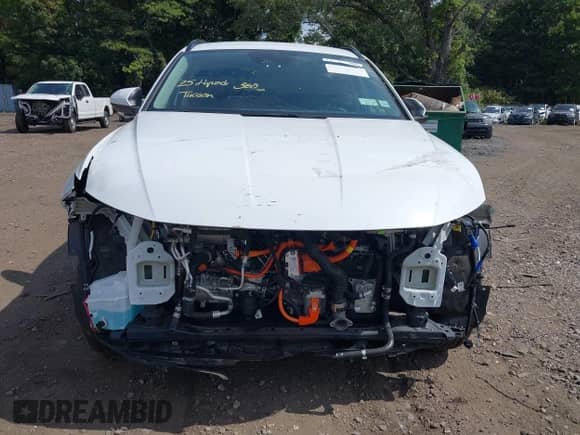 2025 Hyundai Tucson Blue with VIN KM8JBDD18SU325835, listed as a IAAI auction lot 43173038 with 606 mi miles and . Bid and sale history available at DreamBid. Image 12.