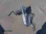 2020 Ford F-150 XL z VIN 1FTEW1E43LKF46211, wystawiony jako IAAI lot #43146730 z przebiegiem 113 762 mil mil oraz . Historia ofert i sprzedaży dostępna na DreamBid. Obrazek 12.