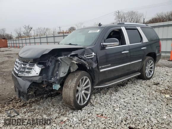 2009 Cadillac Escalade with VIN 1GYFK13289R236406, listed as a Copart auction lot 51920955 with Not provided miles and Salvage title. Bid and sale history available at DreamBid. Image 1.