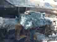 2021 Subaru Ascent Limited с VIN 4S4WMALD1M3405366, выставлен на аукционе IAAI как лот 42818680 с пробегом Не указан миль и . История ставок и продаж доступна на DreamBid. Изображение 14.