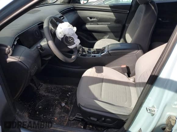 2022 Hyundai Santa Cruz SEL с VIN 5NTJCDAE1NH032013, выставлен на аукционе Copart как лот 76085934 с пробегом 28 824 миль миль и Списание • Salvage title. История ставок и продаж доступна на DreamBid. Изображение 7.