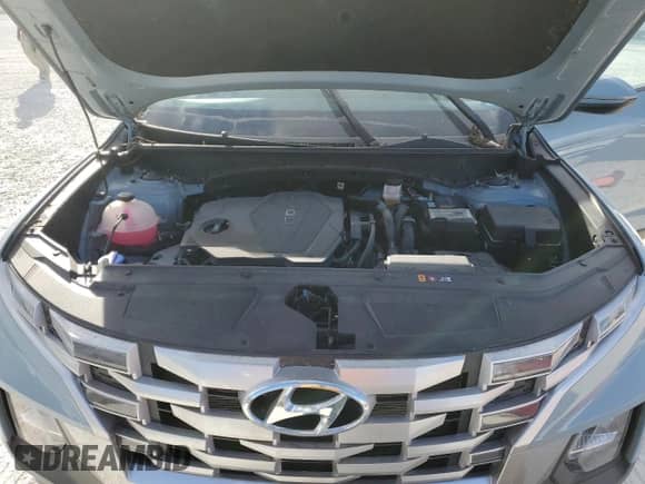 2022 Hyundai Santa Cruz SEL with VIN 5NTJCDAE0NH012755, listed as a Copart auction lot 76873914 with Not provided miles and Salvage title. Bid and sale history available at DreamBid. Image 12.