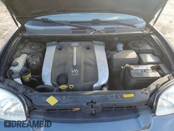 2005 Hyundai Santa Fe GLS с VIN KM8SC13EX5U966400, выставлен на аукционе Copart как лот 80776403 с пробегом 132 840 миль миль и Списание • Salvage title. История ставок и продаж доступна на DreamBid. Изображение 12.