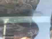 2017 Chevrolet Malibu LT с VIN 1G1ZE5ST7HF253184, выставлен на аукционе Copart как лот 66376265 с пробегом Не указан миль и На запчасти • Non repairable. История ставок и продаж доступна на DreamBid. Изображение 13.