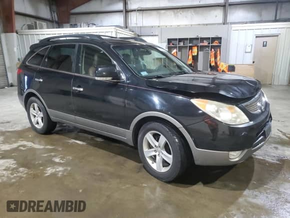 2010 Hyundai Veracruz Limited with VIN KM8NUDCC8AU135420, listed as a Copart auction lot 64364365 with 229,364 mi miles and Clean title. Bid and sale history available at DreamBid. Image 4.
