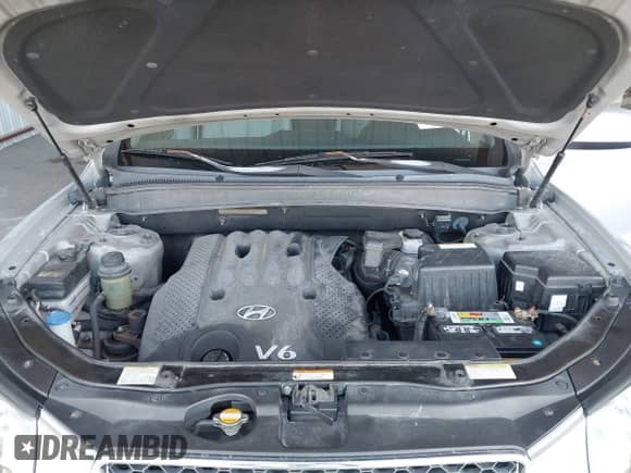 2007 Hyundai Santa Fe GLS с VIN 5NMSG13D57H086845, выставлен на аукционе IAAI как лот 43511175 с пробегом 154 482 миль миль и . История ставок и продаж доступна на DreamBid. Изображение 10.