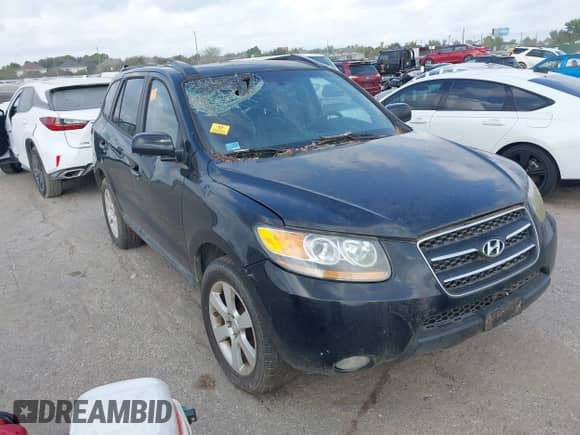 2008 Hyundai Santa Fe SE с VIN 5NMSH13E48H139395, выставлен на аукционе IAAI как лот 43510919 с пробегом Не указан миль и . История ставок и продаж доступна на DreamBid. Изображение 1.