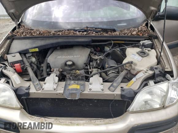 1998 Chevrolet Venture с VIN 1GNDX03EXWD341774, выставлен на аукционе Copart как лот 52134795 с пробегом 200 256 миль миль и Списание • Salvage title. История ставок и продаж доступна на DreamBid. Изображение 13.