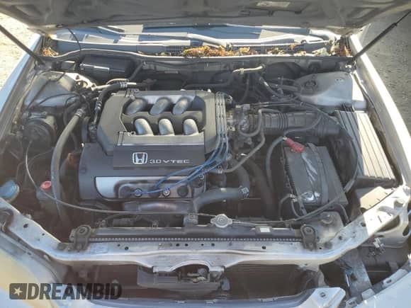 1999 Honda Accord EX with VIN 1HGCG1654XA010134, listed as a Copart auction lot 67599455 with 263,752 mi miles and Salvage title. Bid and sale history available at DreamBid. Image 11.