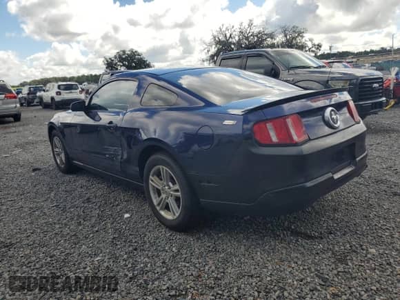 2010 Ford Mustang V6 с VIN 1ZVBP8ANXA5165441, выставлен на аукционе Copart как лот 81869415 с пробегом 124 323 миль миль и Списание • Salvage title. История ставок и продаж доступна на DreamBid. Изображение 2.