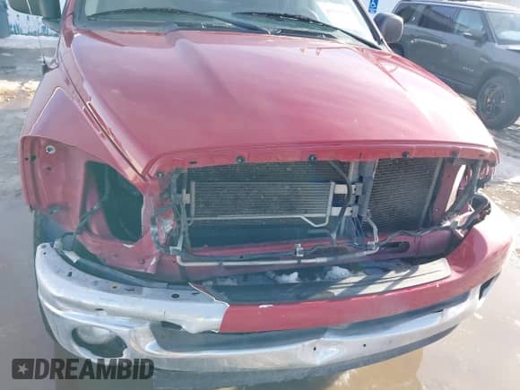 2008 Dodge 1500 SLT with VIN 1D7HU18N68S522733, listed as a IAAI auction lot 41314046 with 143,939 mi miles and . Bid and sale history available at DreamBid. Image 6.