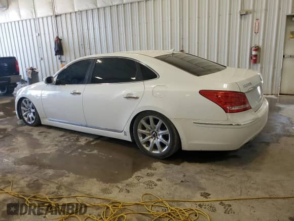 2011 Hyundai Equus Ultimate с VIN KMHGH4JF4BU041384, выставлен на аукционе Copart как лот 68520595 с пробегом 101 511 миль миль и Списание • Salvage title. История ставок и продаж доступна на DreamBid. Изображение 2.