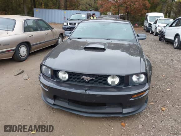 2008 Ford Mustang GT Deluxe with VIN 1ZVHT82H085200495, listed as a IAAI auction lot 43539587 with 145,525 mi miles and . Bid and sale history available at DreamBid. Image 12.