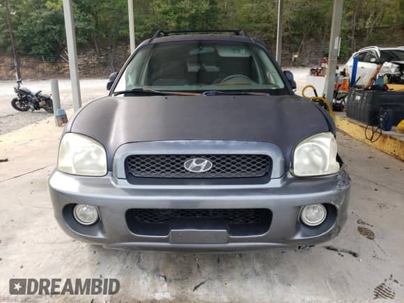 2004 Hyundai Santa Fe GLS z VIN KM8SC13D84U748073, wystawiony jako Copart lot #74749424 z przebiegiem 216 354 mil mil oraz Szkoda całkowita • Salvage title. Historia ofert i sprzedaży dostępna na DreamBid. Obrazek 5.