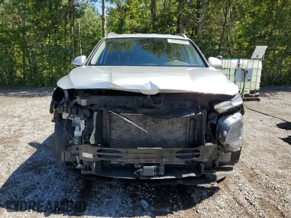 2019 Hyundai Santa Fe SEL with VIN 5NMS3CAD1KH038388, listed as a Copart auction lot 68844995 with 199,755 mi miles and Salvage title. Bid and sale history available at DreamBid. Image 5.