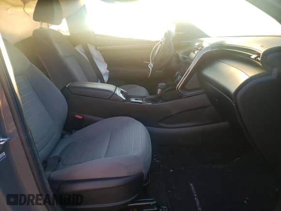 2023 Hyundai Santa Cruz SEL с VIN 5NTJCDAE5PH055040, выставлен на аукционе Copart как лот 77162394 с пробегом 19 060 миль миль и Списание • Salvage title. История ставок и продаж доступна на DreamBid. Изображение 7.