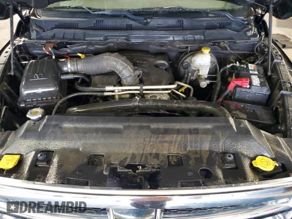 2009 Dodge 1500 SLT with VIN 1D3HV18TX9S756050, listed as a Copart auction lot 65200455 with 222,504 mi miles and Clean title. Bid and sale history available at DreamBid. Image 11.