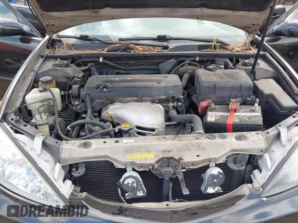 2002 Toyota Camry LE с VIN 4T1BE32K32U015688, выставлен на аукционе IAAI как лот 43423685 с пробегом 143 573 миль миль и . История ставок и продаж доступна на DreamBid. Изображение 10.