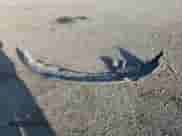 2012 Jeep Grand Cherokee Laredo с VIN 1C4RJEAT5CC277496, выставлен на аукционе Copart как лот 66572555 с пробегом 139 328 миль миль и Чистый • Clean title. История ставок и продаж доступна на DreamBid. Изображение 13.