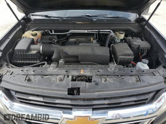 2017 Chevrolet Colorado 2WD WT with VIN 1GCHSBEA7H1291564, listed as a Copart auction lot 63754515 with 171,454 mi miles and Salvage title. Bid and sale history available at DreamBid. Image 11.