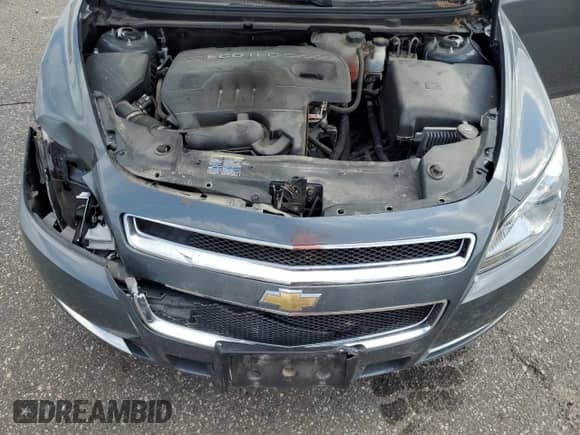 2009 Chevrolet Malibu 1LS with VIN 1G1ZG57B19F134381, listed as a Copart auction lot 67913345 with 68,757 mi miles and Salvage title. Bid and sale history available at DreamBid. Image 11.