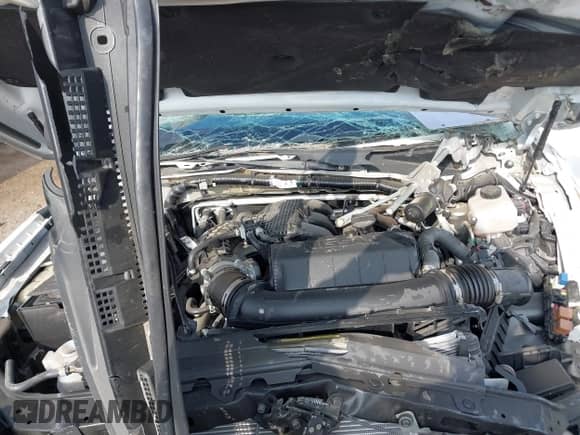 2024 Nissan Frontier SV with VIN 1N6ED1EJ8RN638222, listed as a IAAI auction lot 41750219 with Not provided miles and . Bid and sale history available at DreamBid. Image 10.