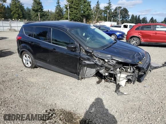 2014 Ford Escape SE z VIN 1FMCU0GX4EUA52263, wystawiony jako Copart lot #82336505 z przebiegiem 146 289 mil mil oraz Szkoda całkowita • Salvage title. Historia ofert i sprzedaży dostępna na DreamBid. Obrazek 4.