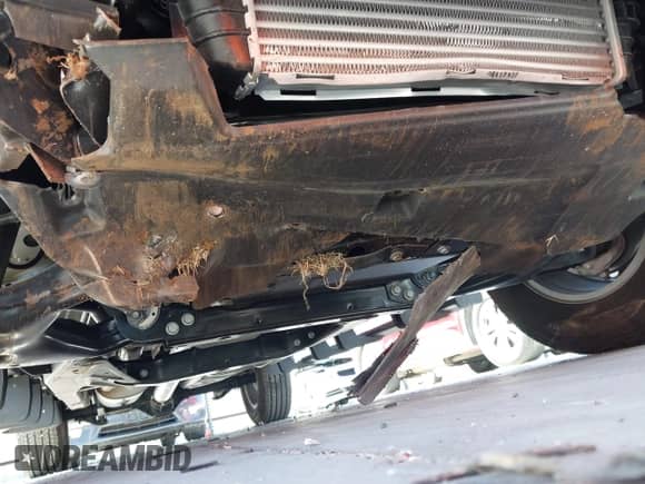 2023 Chevrolet Colorado 2WD LT с VIN 1GCPSCEK4P1231718, выставлен на аукционе IAAI как лот 41718041 с пробегом 4 380 миль миль и . История ставок и продаж доступна на DreamBid. Изображение 6.