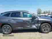 2025 Hyundai Tucson Blue with VIN KM8JBDD17SU346448, listed as a IAAI auction lot 42939235 with 3,124 mi miles and . Bid and sale history available at DreamBid. Image 13.