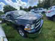 2011 Ram 1500 ST with VIN 1D7RB1GP6BS609617, listed as a Copart auction lot 81309685 with 119,002 mi miles and Clean title. Bid and sale history available at DreamBid. Image 1.