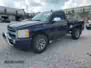 2009 Chevrolet Silverado 1500 Work Truck with VIN 1GCEC14C19Z176961, listed as a Copart auction lot 67823055 with 239,475 mi miles and Salvage title. Bid and sale history available at DreamBid. Image 1.