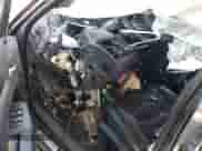 2017 Chrysler 300 C with VIN 2C3CCAKG1HH565566, listed as a Copart auction lot 53158905 with Not provided miles and Salvage title. Bid and sale history available at DreamBid. Image 8.