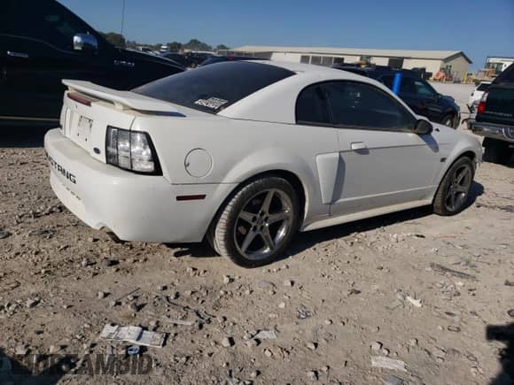 2002 Ford Mustang GT Deluxe с VIN 1FAFP42X02F156374, выставлен на аукционе Copart как лот 85923395 с пробегом 146 618 миль миль и Списание • Salvage title. История ставок и продаж доступна на DreamBid. Изображение 3.
