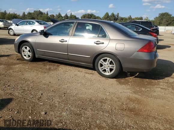 2007 Honda Accord EX-L with VIN 1HGCM56877A063484, listed as a Copart auction lot 81409925 with 267,336 mi miles and Salvage title. Bid and sale history available at DreamBid. Image 2.